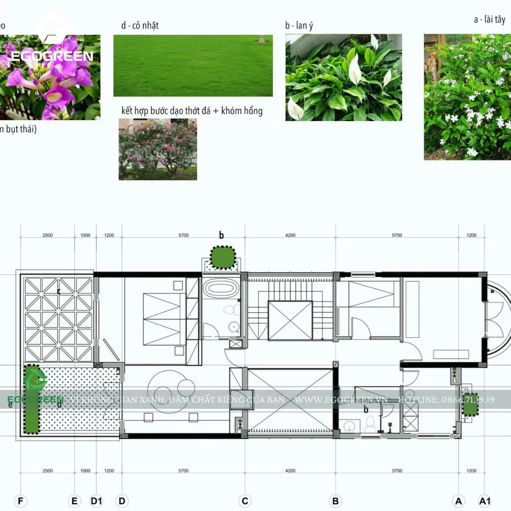 Chúng tôi lên bản vẽ và ảnh 3D cho khách hàng hình dung sân vườn.
